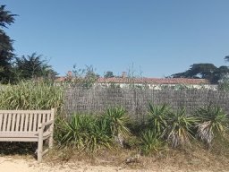 2026-06-24 - la-tranche-sur-mer (06)